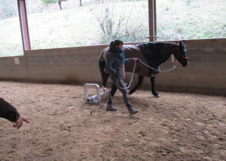 Formation au Centre équestre Le Couzon