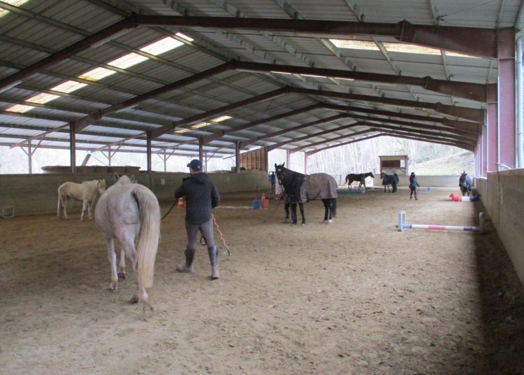 Formation au Centre équestre Le Couzon
