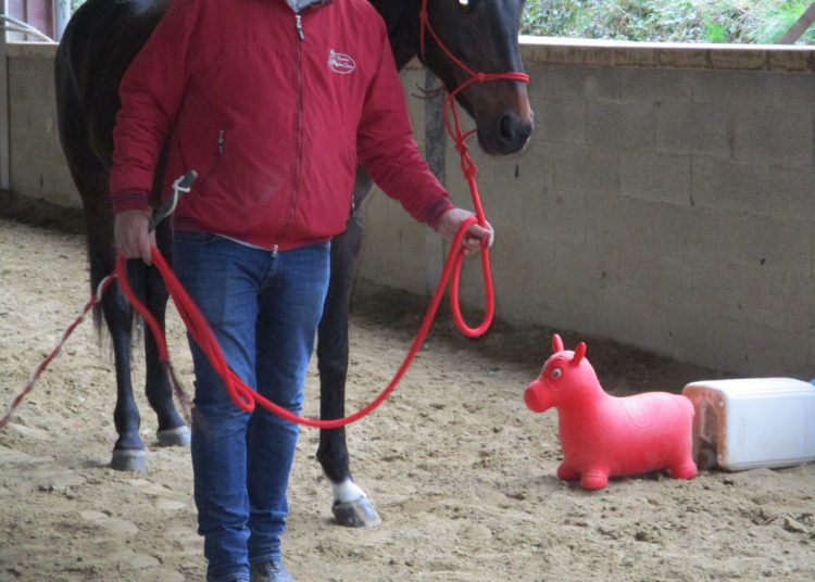 Formation au Centre équestre Le Couzon