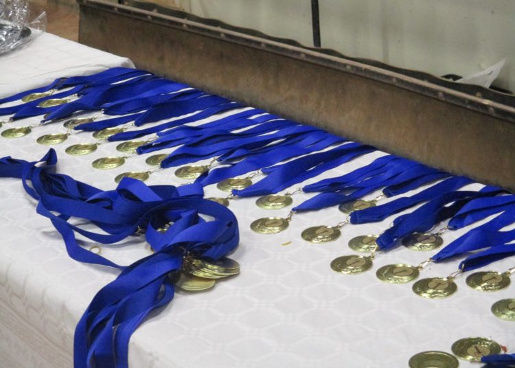 30 ans BOULE DE VIENNE