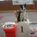 Club d’Education Canine – concours d’obéissance 2020