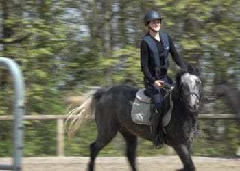 Visite du club Hippique Viennois