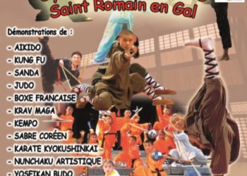 FESTIVAL DES ARTS MARTIAUX !