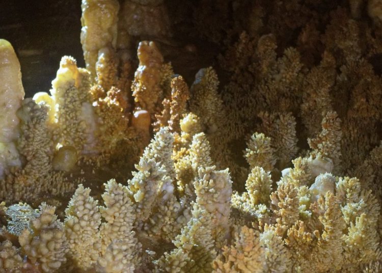 Les spéléologues sortent de leur grotte à l’occasion de leur AG