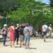 CONCOURS DE PETANQUE DE L’OMS
