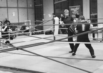 VBF Vienne Boxe Française