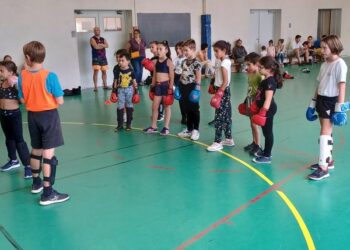 VBF Vienne Boxe Française